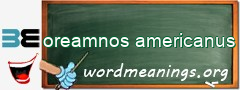 WordMeaning blackboard for oreamnos americanus